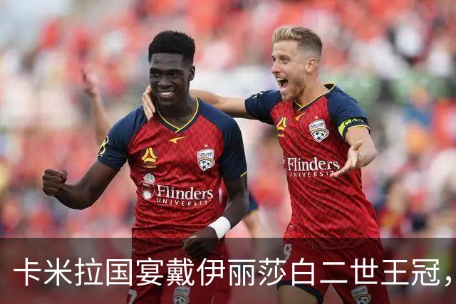 卡米拉国宴戴伊丽莎白二世王冠，紫水晶项链首次亮相